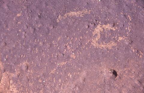 Open original Digitaal object