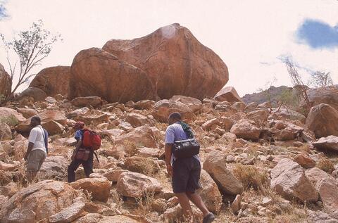 Open original Digital object