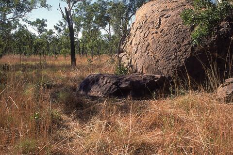 Open original Digital object