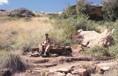 Open original Digital object