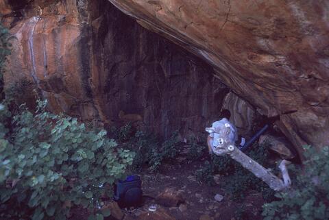 Open original Digital object