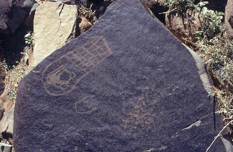 Open original Digital object