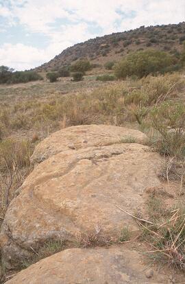 NASMUS RSA MTN2 11