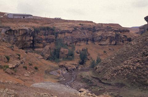 Open original Digital object