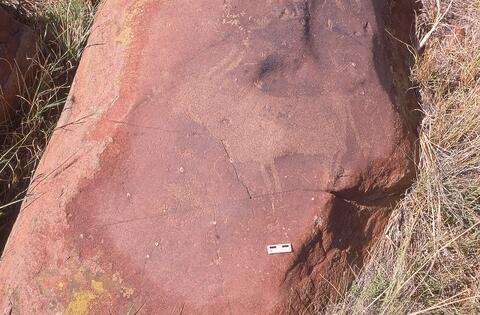 Open original Digital object