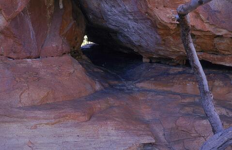 Open original Digital object