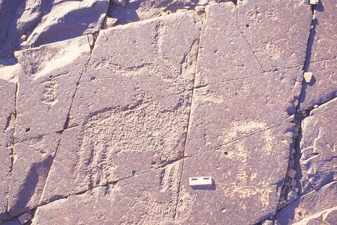 Open original Digital object