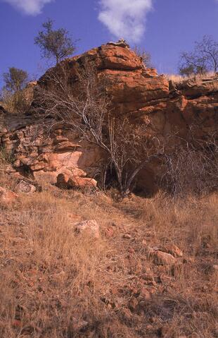 Open original Digital object