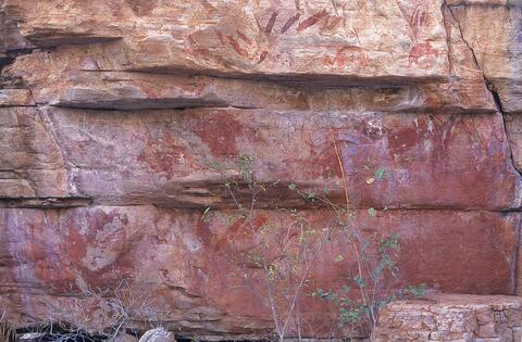 Open original Digital object