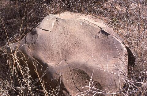 Open original Digital object