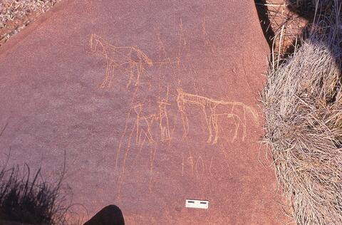 Open original Digital object