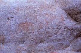 NASMUS RSA SEV12 14