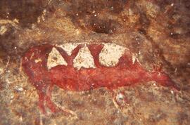NASMUS RSA PLB1 18