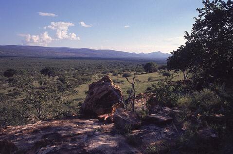 Open original Digital object