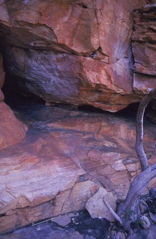 Open original Digital object