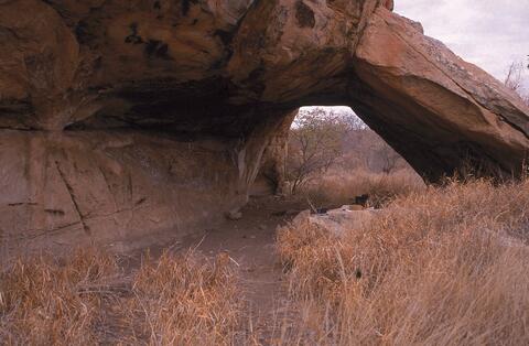 Open original Digitaal object