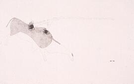 NASMUS RSA TEP1 14