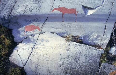 Open original Digital object