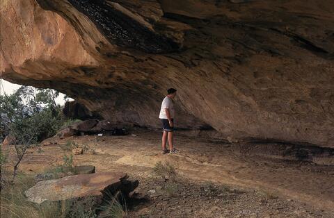 Open original Digital object