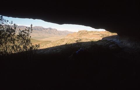 Open original Digital object