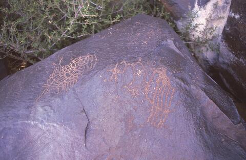 Open original Digital object