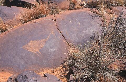 Open original Digitaal object