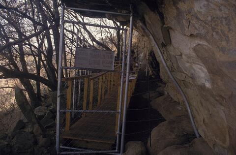 Open original Digital object