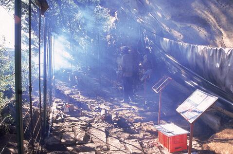 Open original Digital object