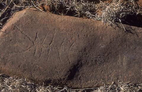 Open original Digital object