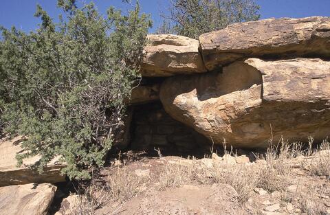 Open original Digital object