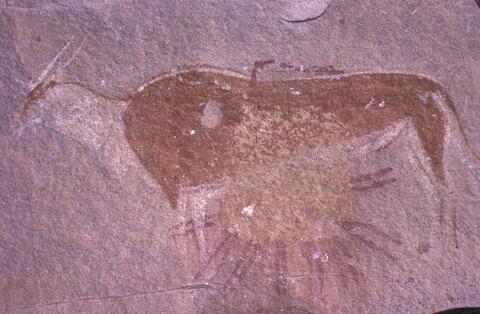 Open original Digital object