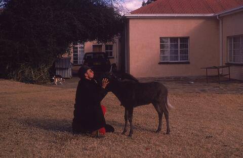 Open original Digital object