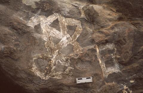 Open original Digitaal object