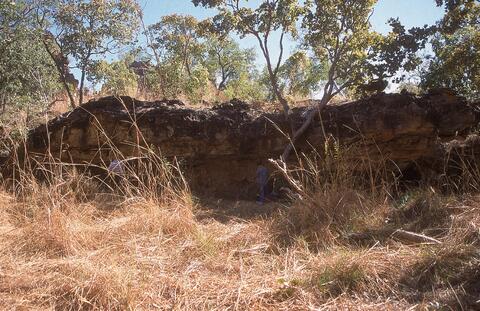 Open original Digital object