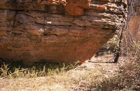 Open original Digital object