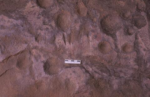 Open original Digitaal object