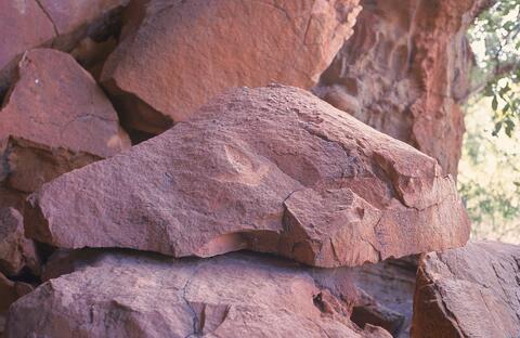 Open original Digital object