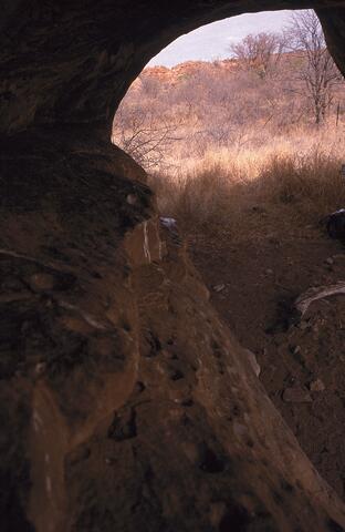 Open original Digital object