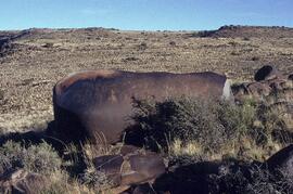 NASMUS RSA KIP1 37