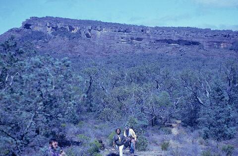 Open original Digital object