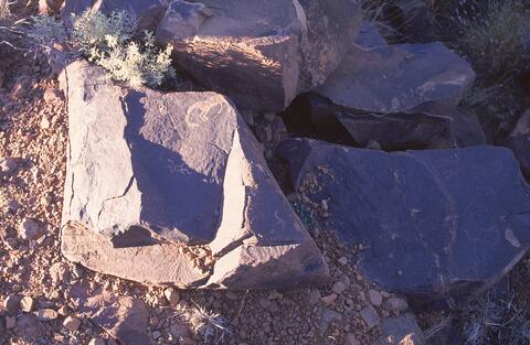 Open original Digitaal object