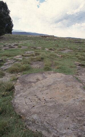 Open original Digitaal object