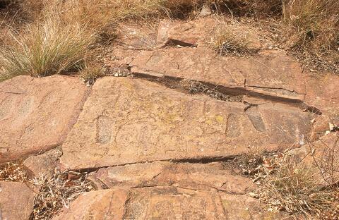 Open original Digital object