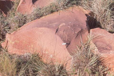 Open original Digital object