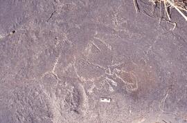 NASMUS RSA MHD2 33