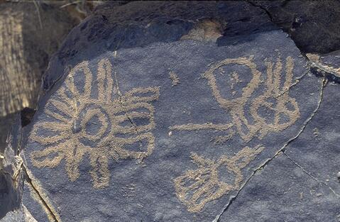 Open original Digital object