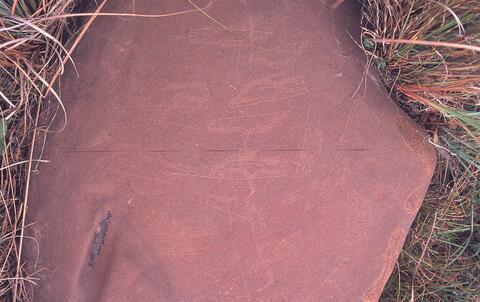 Open original Digital object