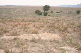 NASMUS RSA MTN2 10