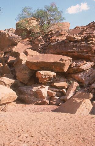 Open original Digital object