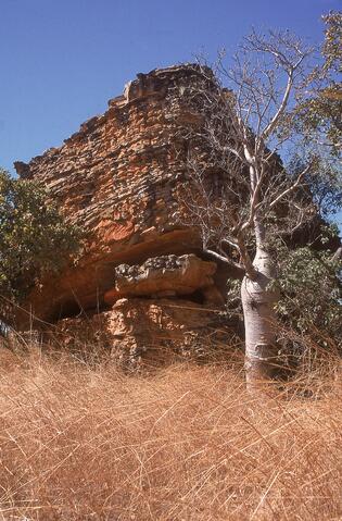 Open original Digital object